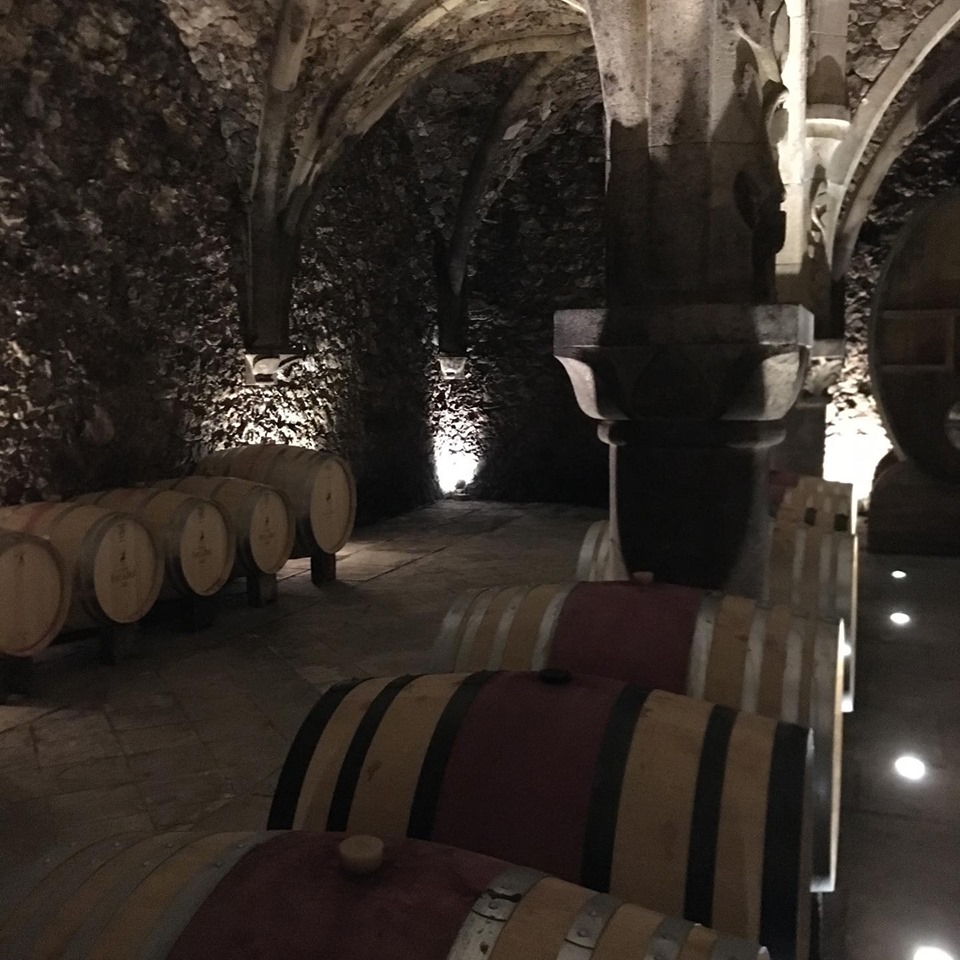 60306670_10157830772506323_4452846819172417536_n