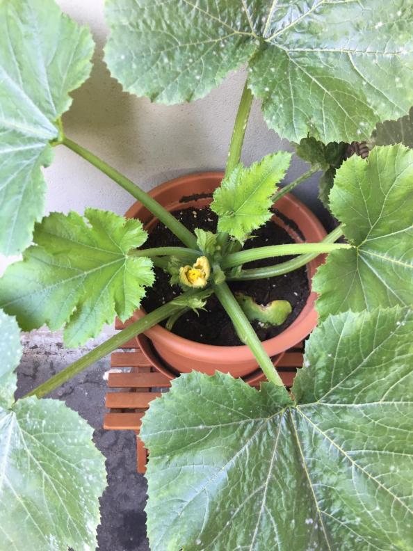 dac751bb-f9a7-4930-b888-1d5f1eea2e48